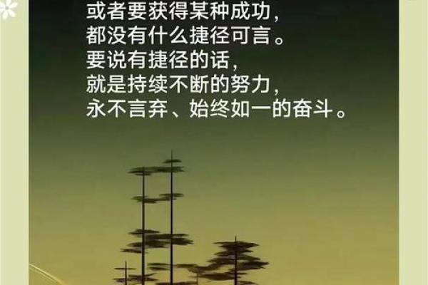 什么都靠自己的女人：勇敢追逐梦想的生命之路