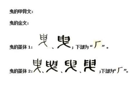 生命的命：探寻结构与偏旁的奥秘之旅