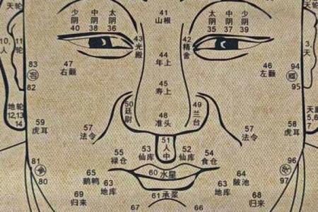 脸颊骨突出的命运解析：看似简单的面相背后隐藏着怎样的故事？