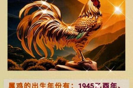 40岁属鸡人的命运解析：揭示人生的财富与智慧之路