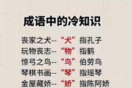 探秘“九”字成语的魅力与智慧