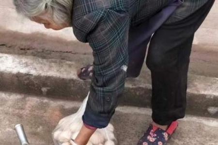 奶奶在男命中的象征意义与生活启示