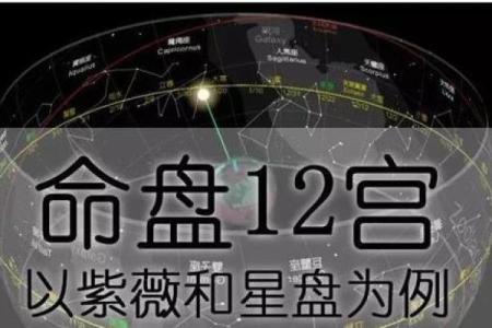 紫薇命盘：揭示聪明人的秘密密码与命理智慧