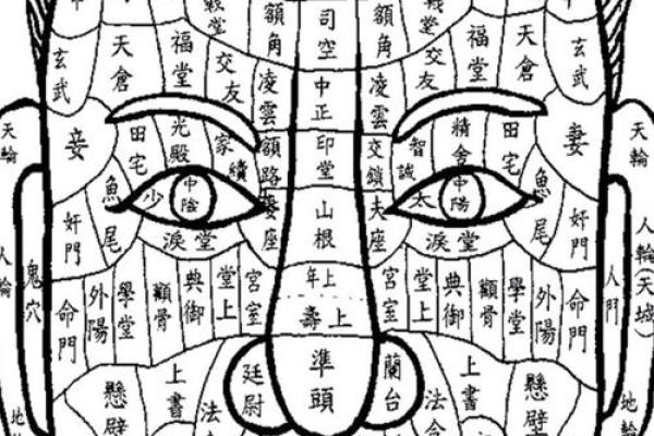 揭示男命衰败的面相特征，如何通过相术重塑人生？
