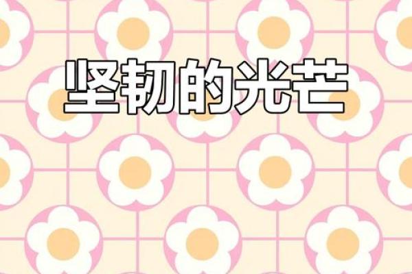 命硬人的生活体验：逆境中绽放的坚韧与光芒