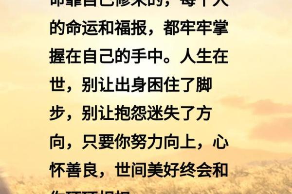 高命之人：命运与智慧的交织，改变人生轨迹的秘诀！