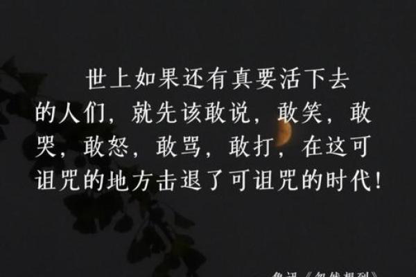 华盖入命：探寻内心深处的宁静与光明