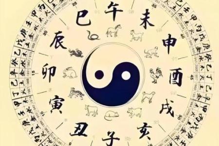 揭示命运的时辰与命格：你是哪个命人？