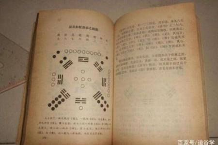 西方数学命理学：揭示数字背后的深邃智慧与人生奥秘