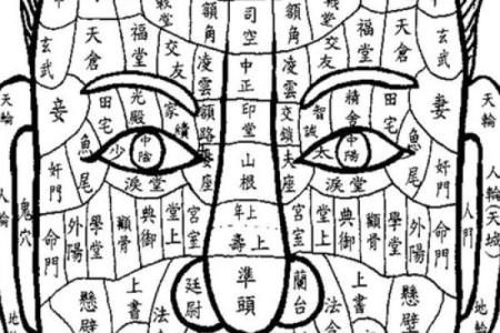 揭示男命衰败的面相特征，如何通过相术重塑人生？