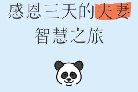 2015乙未年：探秘羊年命理与人生智慧之旅