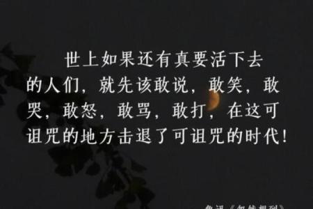华盖入命：探寻内心深处的宁静与光明