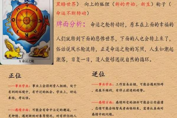 命运之轮：每年运势解密，了解你的命理秘密！