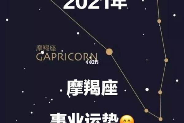 属猴人的命理解析：机智灵活的生活方式与运势展开
