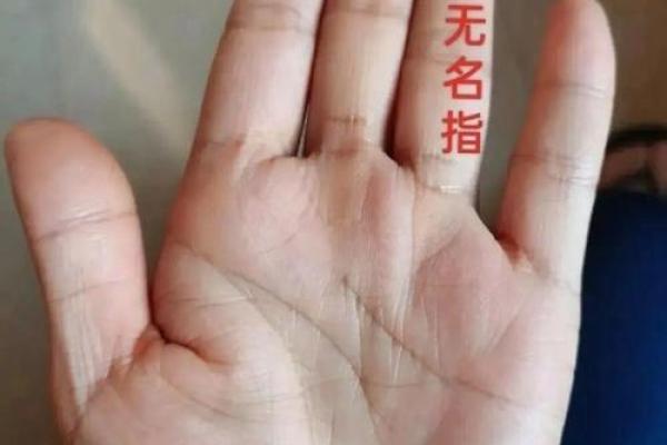 手指没有纹路的命运：一场神秘的命理探索