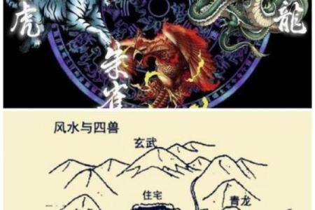 火命之人如何选择理想户型：居住风水与生活品质的完美结合