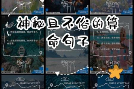 命运之轮：每年运势解密，了解你的命理秘密！