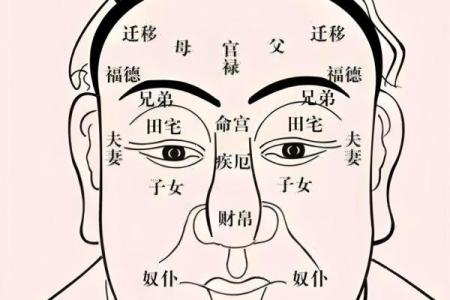 关于额头短的人命运解析，揭秘生活中的神秘奥秘！