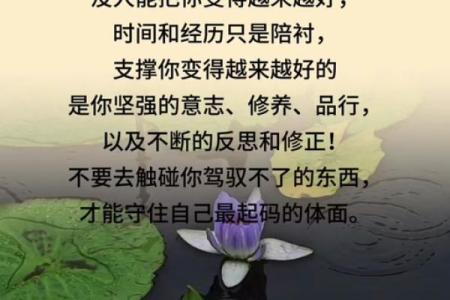 捡蒜瓣的人：蕴含生活智慧的故事与命理探讨