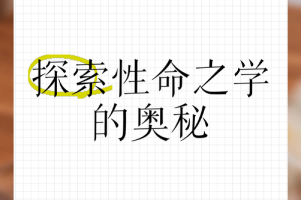 探索命理学的奥秘：推荐几本必读书籍与学习指南