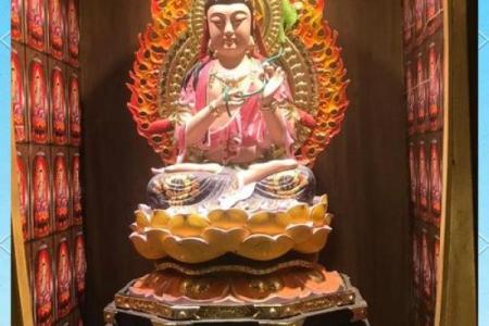 探知虎年的命理：解读去年的生肖与命运之道