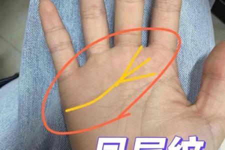 揭秘凤尾纹：掌中小秘密及其命理解析