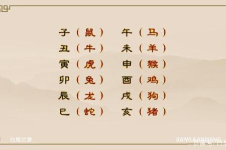 探索网络命理：数字背后的奥秘与智慧