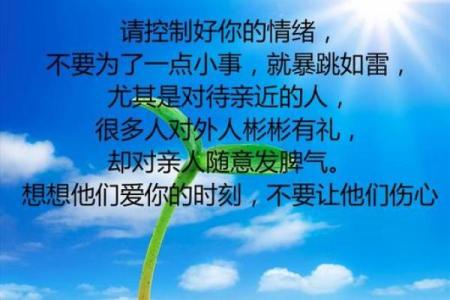 《违命》：一场对命运的不懈追求与反思