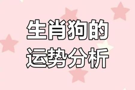 2018年属狗人命运解析：揭示你的性格特征与未来运势