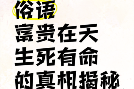 揭秘“堵命”：生活中的隐秘危机与解救之道