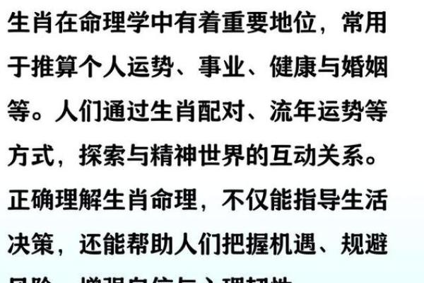 23岁属什么生肖？揭秘命运与性格的奥秘