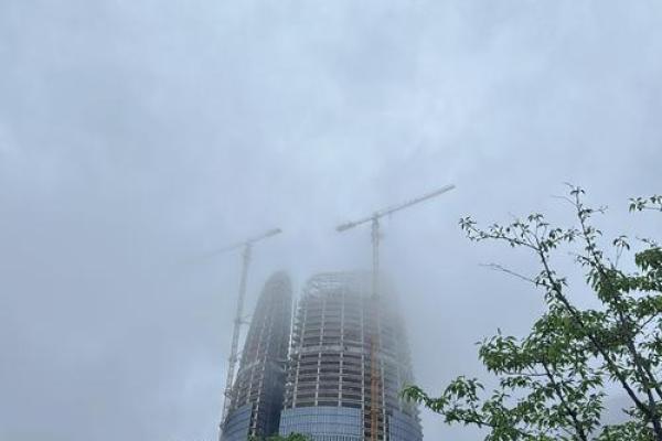 2010年：金虎年与命运的奇妙关系探秘