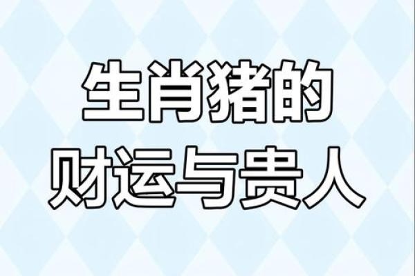 54岁属猪的人生运势与命理解读：揭示你的命运之路和未来希望