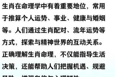 23岁属什么生肖？揭秘命运与性格的奥秘