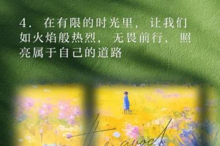 命都没了，要什么自由？追寻内心的真正解脱与快乐