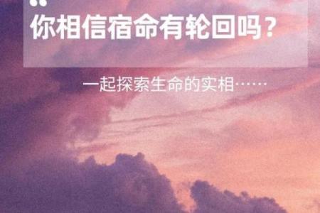 2001年命宿：运势与人生的起伏之旅