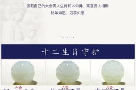 属蛇的命理与适合佩戴的饰品解析，助您提升运势与魅力