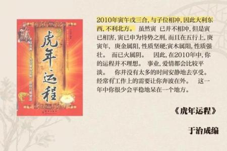 虎年男性的命运分析：揭开性格与职业选择的秘密