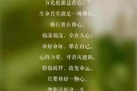 浅命：揭示生活的深层意义与存在之美