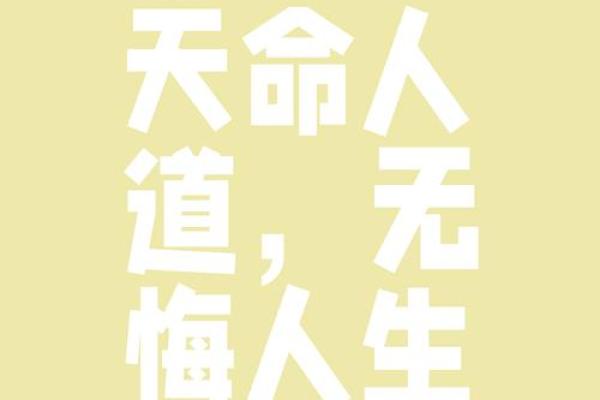 无命：领悟生命的真谛与无常之美