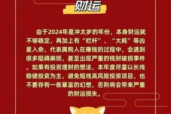 1982年属狗人的命运解析：探寻狗年出生者的性格与生活轨迹