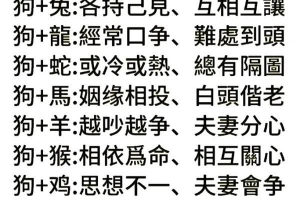 1982年属狗人的命运解析：探寻狗年出生者的性格与生活轨迹