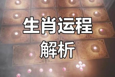 命卦相克的奥秘：2023年生肖运势解析与解读