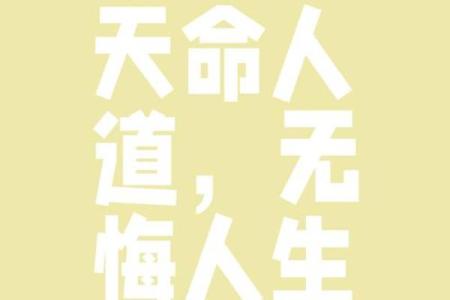 无命：领悟生命的真谛与无常之美
