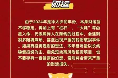 1982年属狗人的命运解析：探寻狗年出生者的性格与生活轨迹