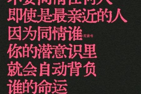 唯命的深刻含义与人生启示：追求命运的智慧与哲思