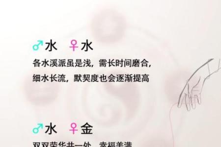 蜈蚣的五行属性探秘：土命与水命的深度解析与神秘寓意