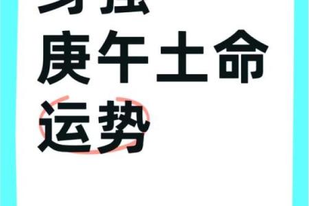 揭秘一般人二般命的特征与运势解析，助你一生从容应对