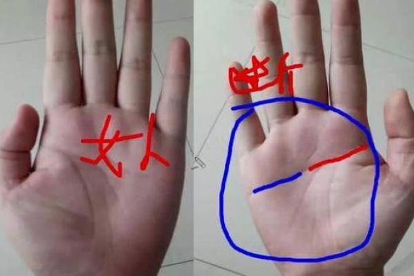 双手假断掌:命运与个性解析之旅 双手假断掌:命运与个性解析之旅