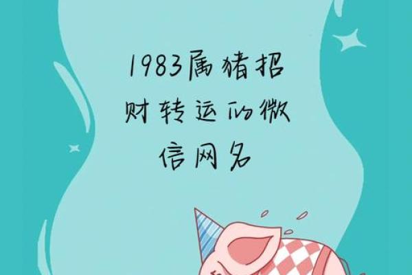 2020年属猪人的命运解析:幸运与挑战并存的一年 2020年属猪人的命运解析:幸运与挑战并存的一年